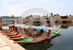 The boats in Srinagar City (India) photo