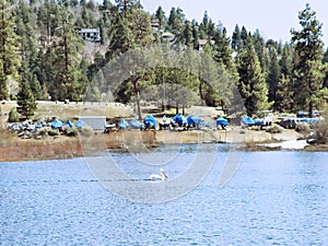 Boats Stored At Grout Bay Near Big Bear Lake