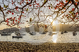 Boats at sunset in calm beach of Ilhabela Brazil