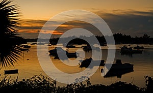 Boats at sunset
