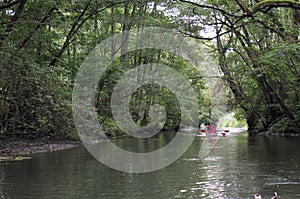 Boats in the Taubergiessen nature reserve on the Old Rhine