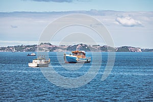 Boats at Tenaun Bay - Tenaun, Chiloe Island, Chile photo