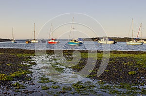 Boats on their moorings beside Cockle Island in the natural tidal harbour at Groomsport in Co Down,Northern Ireland