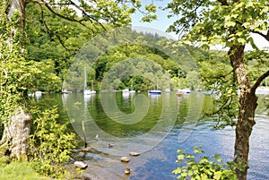 Boats and trees on Windermere
