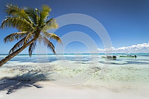 Boats and tropical beach in caribbean sea, Saona island, Dominican Republic