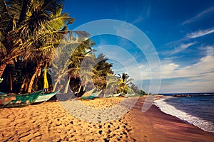 Boats on a Tropical Beach, Mirissa, Sri Lanka