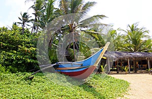 Boats on the tropical beach. Sri Lanka, Hikkaduwa.