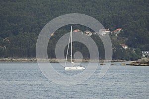 Boats in Vigo Ria