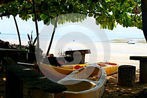 Boats, wooden benches and fishing articles in the large tree shadow. Beach in a bright sunny day