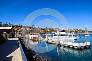 Boats and yachts docked in the deep blue ocean water of the Dana Point Harbor with people and colorful paddle boards