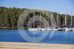 Boats and yachts docked in the marina on Lake Lanier with lush green trees and a gorgeous clear blue sky in Gainesville Georgia photo