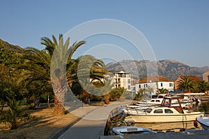 Boats and yachts in the harbor, beautiful summer landscape. Tivat marina, Montenegro.