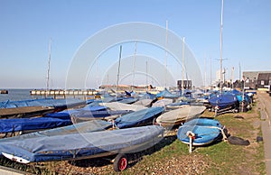 Boats and yachts and masts