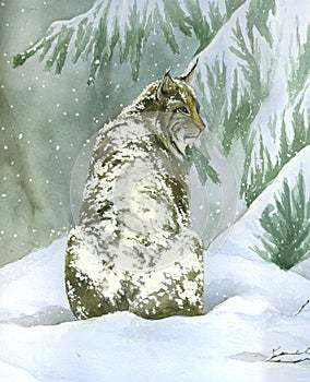 Bobcat under the snow (vertical)- watercolour