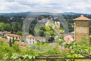 Boboli gardens