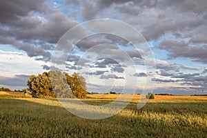 Bobr Valley Landscape Park Polish: Dolina Bobru. Meadows in Lower Silesia, clouds on evening sky