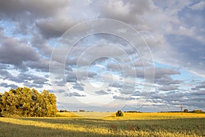 Bobr Valley Landscape Park Polish: Dolina Bobru. Meadows in Lower Silesia, clouds on evening sky