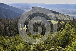 Bobrovec valley, Slovakia, Cervenec hill: Cottage under Naruzie. Forest, trees and cottage. Western Tatras