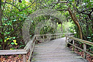 Boca Raton city park walkway photo