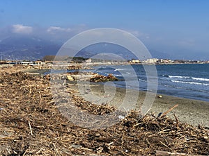 Bocca di Magra, Marinella, Massa Carrara Italy. Sunshine and beach debris, driftwood etc after the winter storm. photo