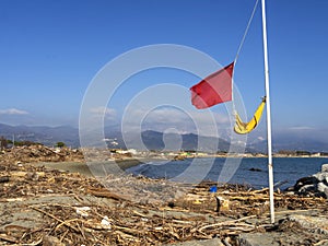 Bocca di Magra, Marinella, Massa Carrara Italy. Sunshine and beach debris after the winter storm.