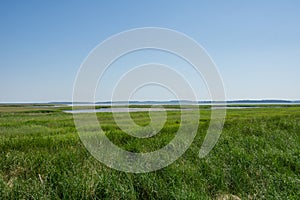 Bodden landscape in Northern Germany