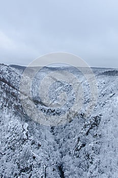 The Bode gorge in the valley between Harz mountains