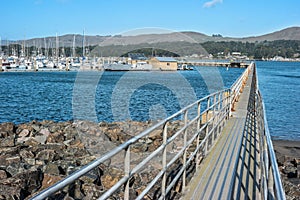 Bodega Bay marina photo