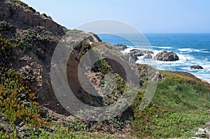 Bodega Head Cliffs and Ocean