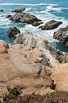 Bodega Head Coastal Ridge and Tide