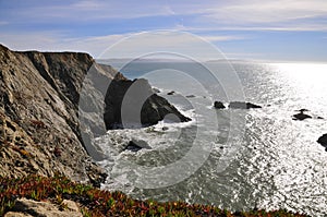 Bodega Head