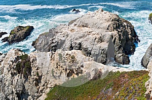 Bodega Head Rocky Coast and Tide