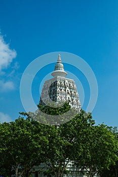 Bodhgaya Pagoda reproduce