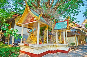 The Bodhi Tree and the shrines in Wat Phra Kaew Temple, Chiang Rai, Thailand