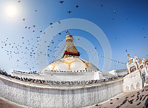 Bodhnath stupa with flying birds