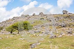 Bodmin moor in cornwall england uk