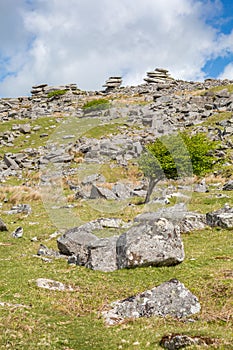 Bodmin moor in cornwall england uk