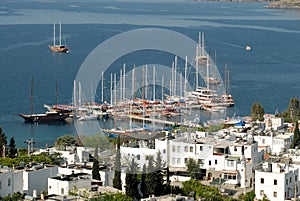 Bodrum coast