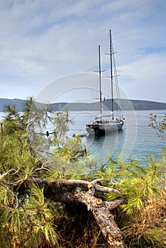 Bodrum landscape