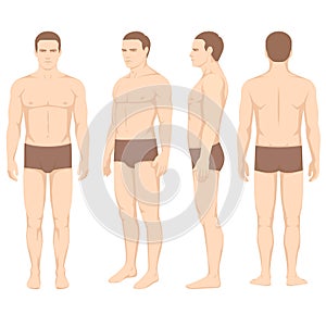 body anatomy, vector man front back side