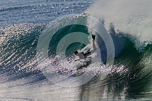 Body Boarding Drop Wave