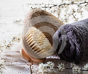 Body brush and stone over fresh flowers for beauty