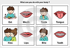 Body function eat, taste, kiss, bite - part of body concept