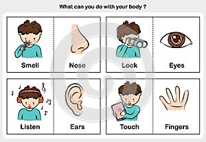 Body function smell, look, listen and touch - part of body concept