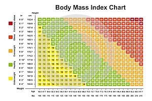 Body Mass Index (BMI) Chart