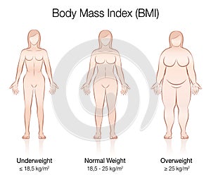 Body Mass Index BMI Female Body Thin Fat Normal