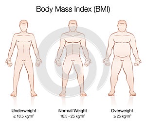 Body Mass Index BMI Male Body Thin Fat Normal