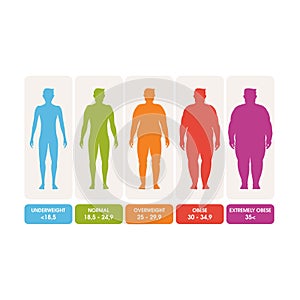 Body mass index vector illustration