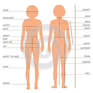 body measurements size chart,