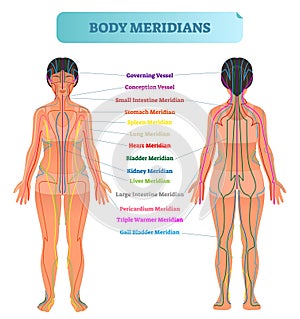 Body meridian system vector illustration scheme, Chinese energy acupuncture therapy diagram chart.